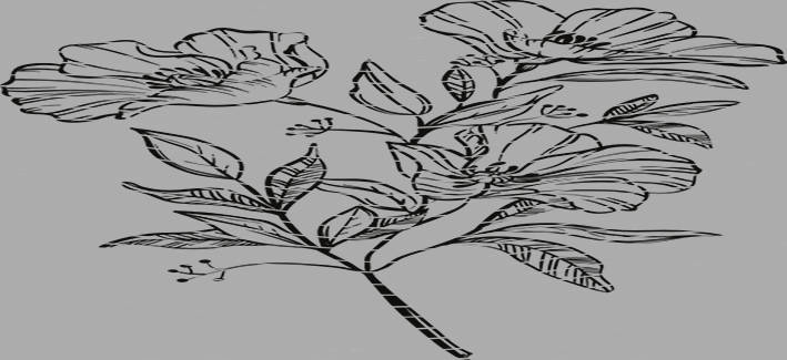 16oz Element-EN-1209